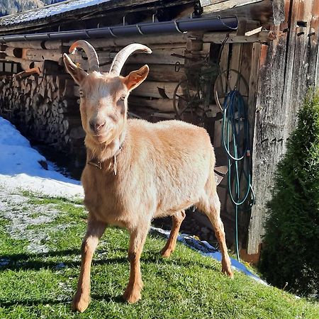 Ferienwohnungen Rieder Gerlos Luaran gambar