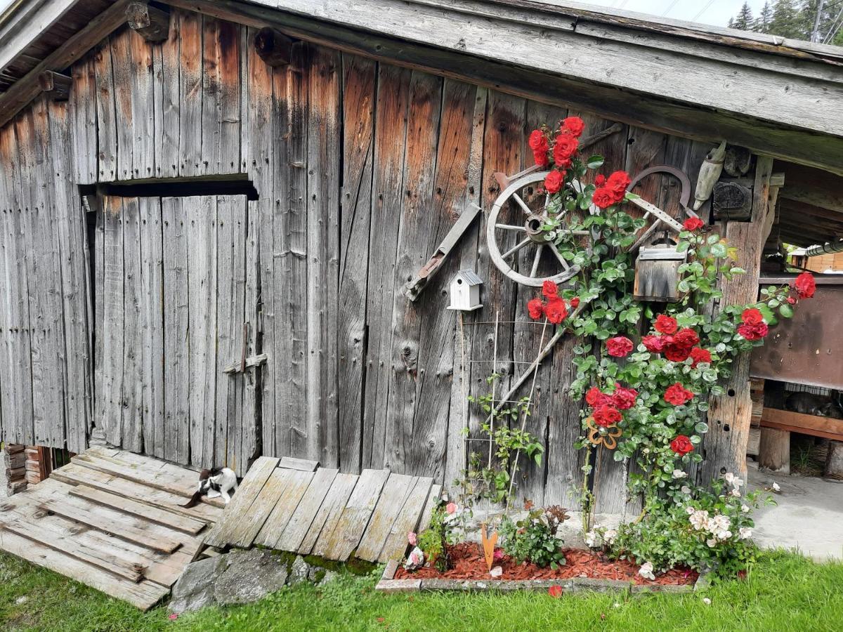 Ferienwohnungen Rieder Gerlos Luaran gambar